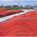Canned tomato paste complete equipment